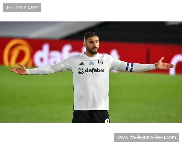 英超被低估的优秀球员——以彼得罗夫为例的深度分析