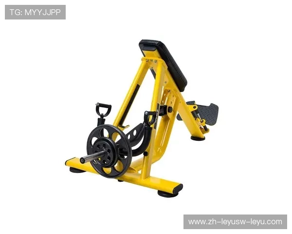 户外健身器材中的划船设备推荐