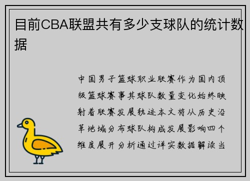目前CBA联盟共有多少支球队的统计数据